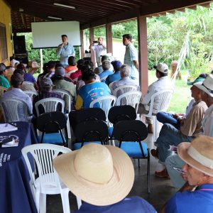 Reunião mensal do CMDRS esclareceu dúvidas sobre a coleta itinerante e o cultivar BRS Capiaçu (5) Reunião mensal do CMDRS esclareceu dúvidas sobre a coleta itinerante e o cultivar BRS Capiaçu (5)
