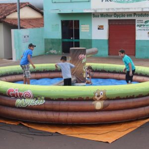 Em Santa Vitória, multidão se reúne para celebrar festa natalina e participar do sorteio de quase 60 bicicletas e vários outros brindes (8)