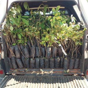 WhatsApp Image 2019-01-14 at 14.48.58 (1) – Copia WhatsApp Image 2019-01-14 at 14.48.58 (1) - Copia