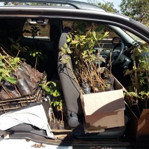 WhatsApp Image 2019-01-14 at 14.48.58 WhatsApp Image 2019-01-14 at 14.48.58