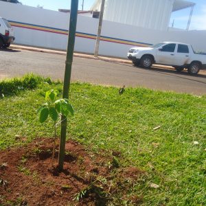 WhatsApp Image 2019-01-14 at 14.49.05 (3) WhatsApp Image 2019-01-14 at 14.49.05 (3)