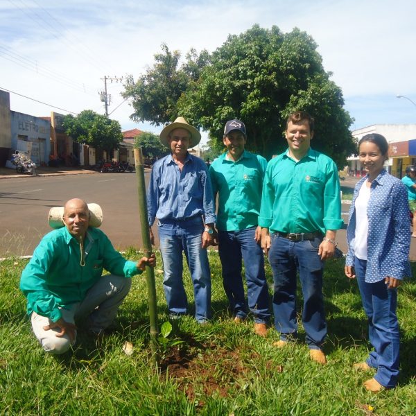 WhatsApp Image 2019-01-14 at 14.49.08 WhatsApp Image 2019-01-14 at 14.49.08