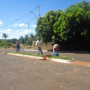 WhatsApp Image 2019-01-14 at 14.51.25 WhatsApp Image 2019-01-14 at 14.51.25