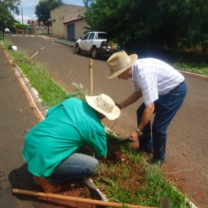 WhatsApp Image 2019-01-14 at 14.51.26 (2) WhatsApp Image 2019-01-14 at 14.51.26 (2)