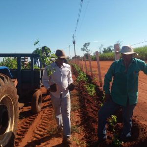 WhatsApp Image 2019-02-14 at 11.20.40 WhatsApp Image 2019-02-14 at 11.20.40