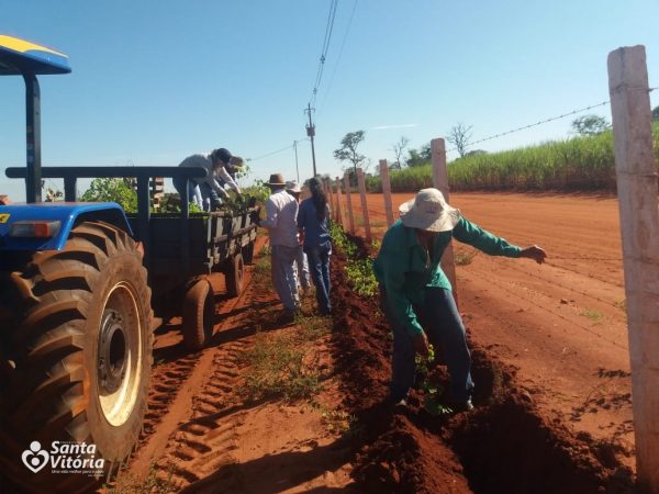 Prefeitura promove plantio de cerca viva no lixão em Santa Vitória