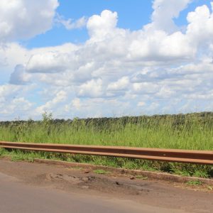 IMG_5435_1 IMG_5435_1