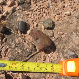 Pesquisadores visitam a Serra do Tatu, bem tombado em Santa Vitória-MG_1