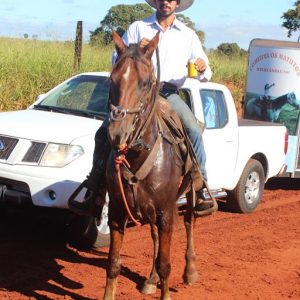 13ª Cavalgada Santa Vitoria Perdilandia realizada com sucesso (101)
