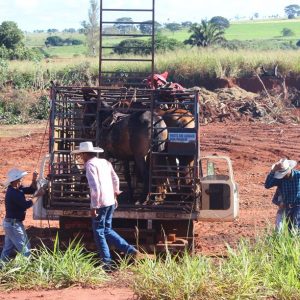 13ª Cavalgada Santa Vitoria Perdilandia realizada com sucesso (114)