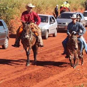 13ª Cavalgada Santa Vitoria Perdilandia realizada com sucesso (116)