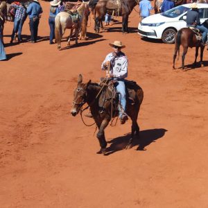 13ª Cavalgada Santa Vitoria Perdilandia realizada com sucesso (138)