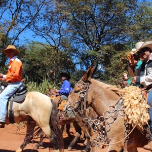 13ª Cavalgada Santa Vitoria Perdilandia realizada com sucesso (157)