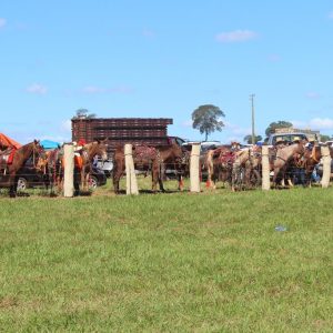 13ª Cavalgada Santa Vitoria Perdilandia realizada com sucesso (220)