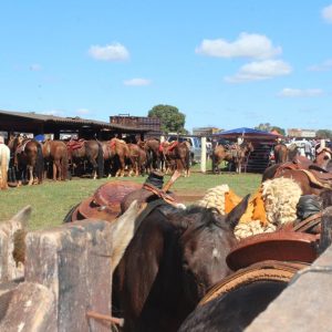 13ª Cavalgada Santa Vitoria Perdilandia realizada com sucesso (224)