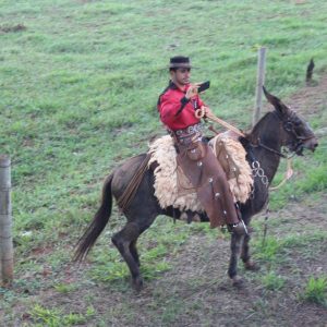 13ª Cavalgada Santa Vitoria Perdilandia realizada com sucesso (278)