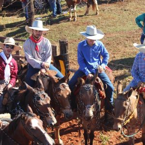 13ª Cavalgada Santa Vitoria Perdilandia realizada com sucesso (29)