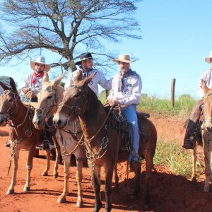 13ª Cavalgada Santa Vitoria Perdilandia realizada com sucesso (34)