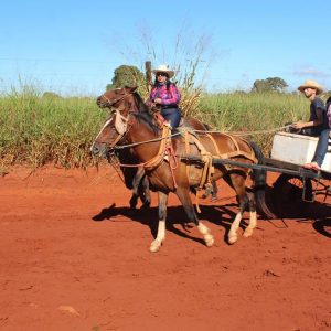13ª Cavalgada Santa Vitoria Perdilandia realizada com sucesso (56)