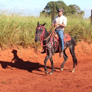 13ª Cavalgada Santa Vitoria Perdilandia realizada com sucesso (73)