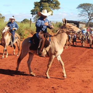 13ª Cavalgada Santa Vitoria Perdilandia realizada com sucesso (78)
