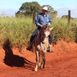 13ª Cavalgada Santa Vitoria Perdilandia realizada com sucesso (79)