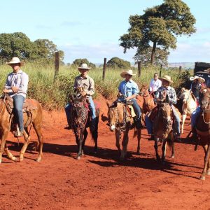 13ª Cavalgada Santa Vitoria Perdilandia realizada com sucesso (80)
