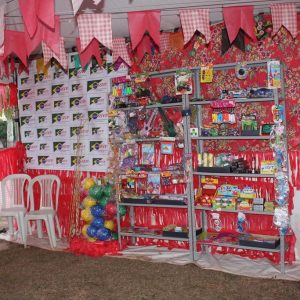 Abertura do 2º Juninão de Santa Vitória (10)
