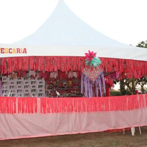 Abertura do 2º Juninão de Santa Vitória (11)