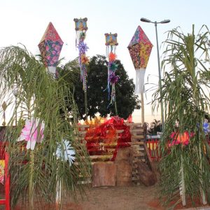 Abertura do 2º Juninão de Santa Vitória (12)