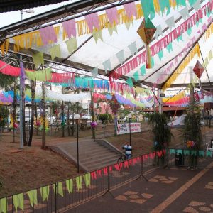 Abertura do 2º Juninão de Santa Vitória (14)