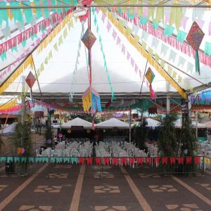 Abertura do 2º Juninão de Santa Vitória (15)