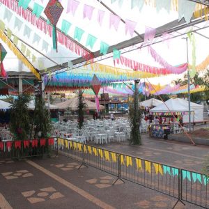 Abertura do 2º Juninão de Santa Vitória (16)