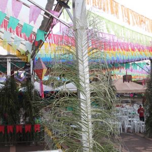 Abertura do 2º Juninão de Santa Vitória (17)