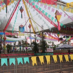 Abertura do 2º Juninão de Santa Vitória (19)