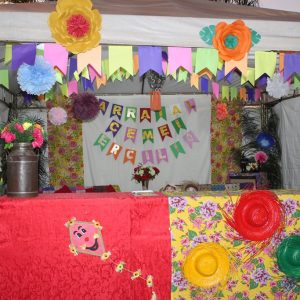 Abertura do 2º Juninão de Santa Vitória (27)