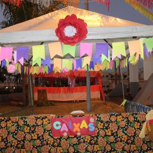 Abertura do 2º Juninão de Santa Vitória (28)