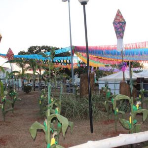 Abertura do 2º Juninão de Santa Vitória (3)