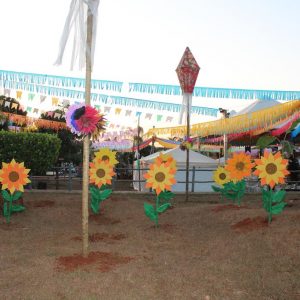 Abertura do 2º Juninão de Santa Vitória (4)