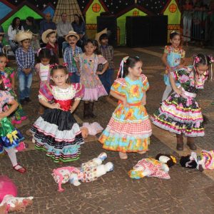 Abertura do 2º Juninão de Santa Vitória (59)