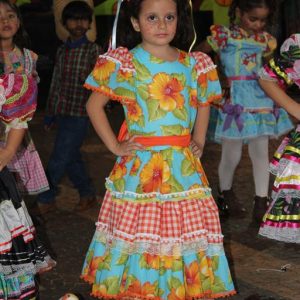 Abertura do 2º Juninão de Santa Vitória (61)