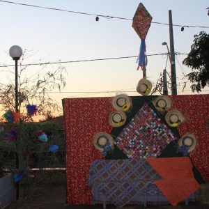 Abertura do 2º Juninão de Santa Vitória (7)