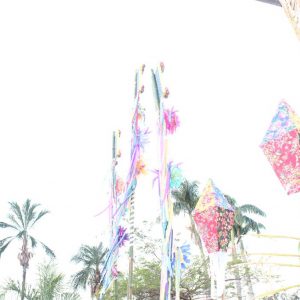 Abertura do 2º Juninão de Santa Vitória (8)