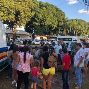 Doações de mudas nativas e demonstração de animais silvestres empalhados marcam o início da Semana do Meio Ambiente (15)