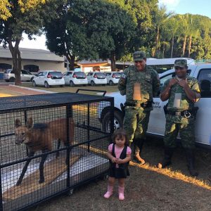 Doações de mudas nativas e demonstração de animais silvestres empalhados marcam o início da Semana do Meio Ambiente (16)