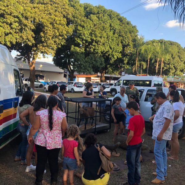 Doações de mudas nativas e demonstração de animais silvestres empalhados marcam o início da Semana do Meio Ambiente (18)