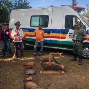 Doações de mudas nativas e demonstração de animais silvestres empalhados marcam o início da Semana do Meio Ambiente (5)