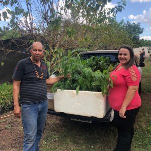 Doações de mudas nativas e demonstração de animais silvestres empalhados marcam o início da Semana do Meio Ambiente (6)