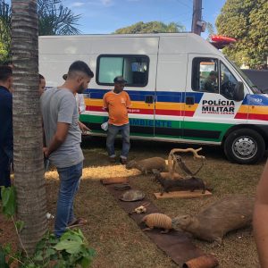 Doações de mudas nativas e demonstração de animais silvestres empalhados marcam o início da Semana do Meio Ambiente (8)