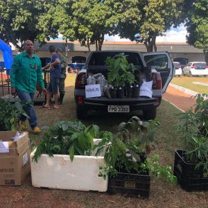 Doações de mudas nativas e demonstração de animais silvestres empalhados marcam o início da Semana do Meio Ambiente (9)